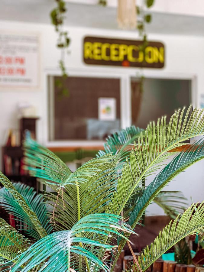 Golden Paradise Hostel Isla Holbox Dış mekan fotoğraf