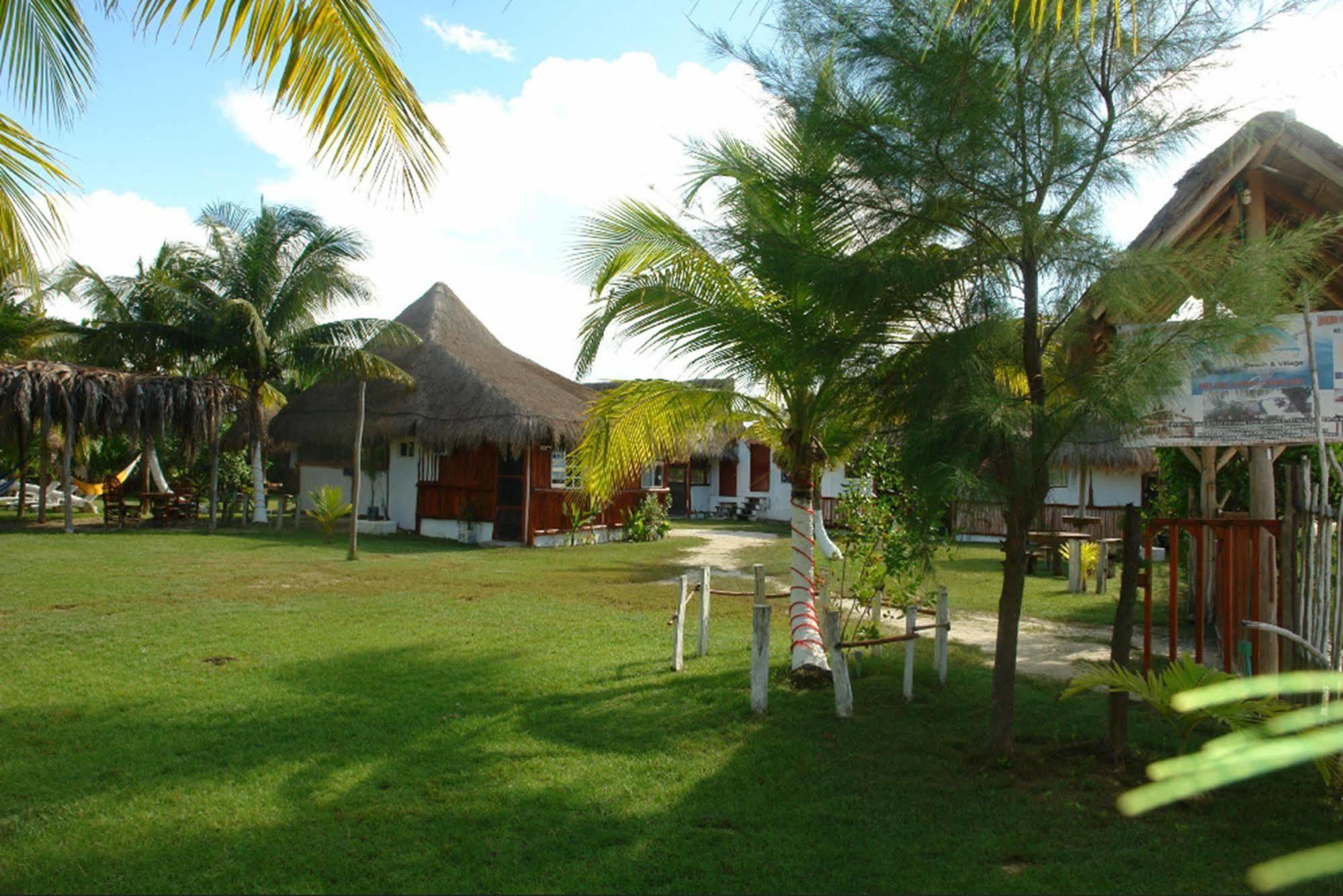 Golden Paradise Hostel Isla Holbox Dış mekan fotoğraf